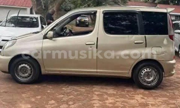 Buy Used Toyota FunCargo Other Car in Harare in Harare Buy Used Toyota FunCargo Other Car in Harare in Harare