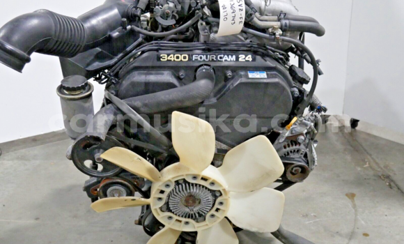 Tenga Toyota Tacoma, 4Runner in Harare in Harare Tenga Toyota Tacoma, 4Runner in Harare in Harare