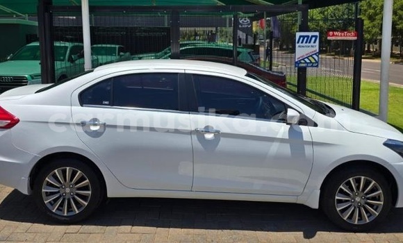 Buy Used Suzuki Ciaz White Car in Harare in Harare Buy Used Suzuki Ciaz White Car in Harare in Harare