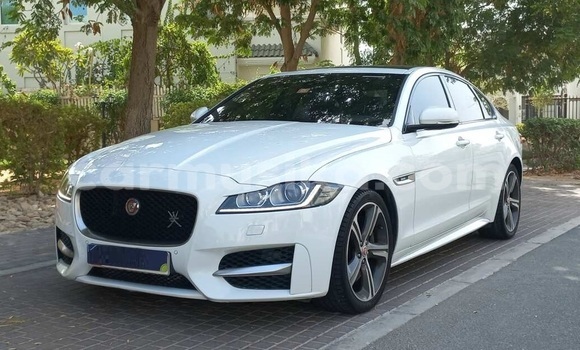Buy Used Jaguar XF White Car in Harare in Harare Buy Used Jaguar XF White Car in Harare in Harare