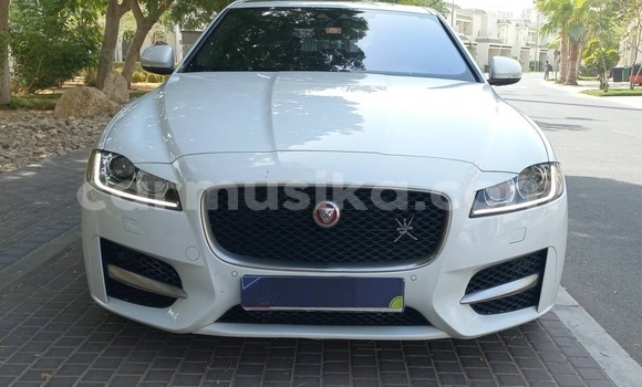 Buy Used Jaguar XF White Car in Harare in Harare Buy Used Jaguar XF White Car in Harare in Harare