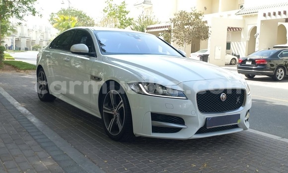 Buy Used Jaguar XF White Car in Harare in Harare Buy Used Jaguar XF White Car in Harare in Harare