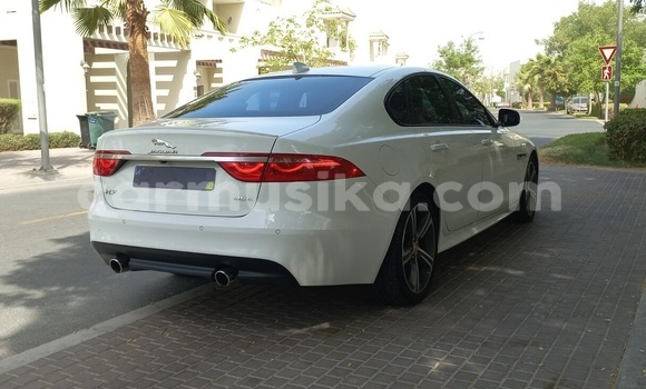 Buy Used Jaguar XF White Car in Harare in Harare Buy Used Jaguar XF White Car in Harare in Harare
