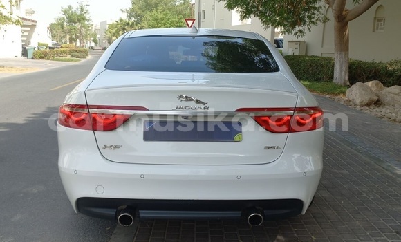 Buy Used Jaguar XF White Car in Harare in Harare Buy Used Jaguar XF White Car in Harare in Harare