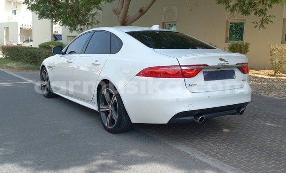 Buy Used Jaguar XF White Car in Harare in Harare Buy Used Jaguar XF White Car in Harare in Harare