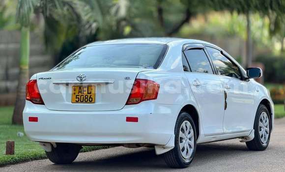 Nunua Ilio tumika Toyota Axio Nyeupe Gari ndani ya Harare nchini Harare Nunua Ilio tumika Toyota Axio Nyeupe Gari ndani ya Harare nchini Harare