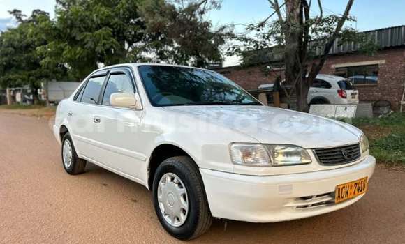 Tenga Tsaru Toyota Corolla Chena Mota in Harare in Harare