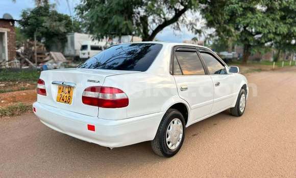 Nunua Ilio tumika Toyota Corolla Nyeupe Gari ndani ya Harare nchini Harare Nunua Ilio tumika Toyota Corolla Nyeupe Gari ndani ya Harare nchini Harare