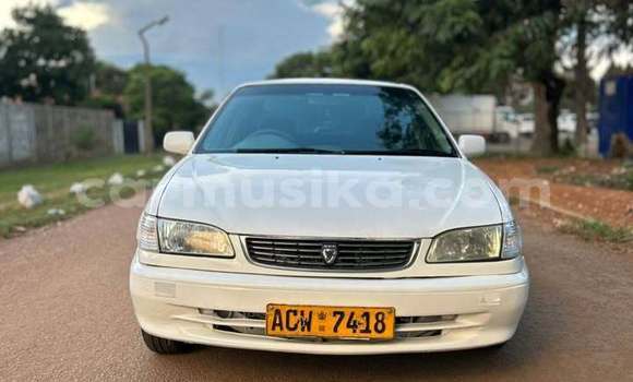 Nunua Ilio tumika Toyota Corolla Nyeupe Gari ndani ya Harare nchini Harare Nunua Ilio tumika Toyota Corolla Nyeupe Gari ndani ya Harare nchini Harare