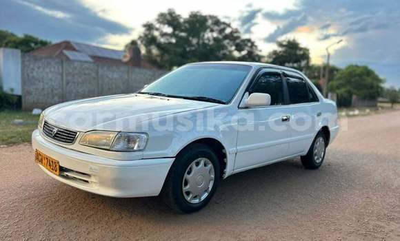 Nunua Ilio tumika Toyota Corolla Nyeupe Gari ndani ya Harare nchini Harare Nunua Ilio tumika Toyota Corolla Nyeupe Gari ndani ya Harare nchini Harare