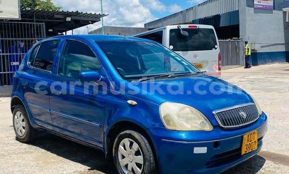Buy Used Toyota Vitz Blue Car in Harare in Harare