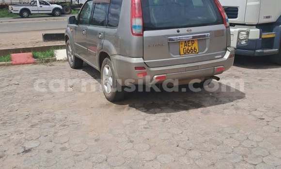 Tenga Tsaru Nissan X–Trail Zvimwe Mota in Harare in Harare Tenga Tsaru Nissan X–Trail Zvimwe Mota in Harare in Harare