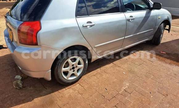 Acheter Occasion Voiture Toyota Runx Autre à Harare, Harare Acheter Occasion Voiture Toyota Runx Autre à Harare, Harare