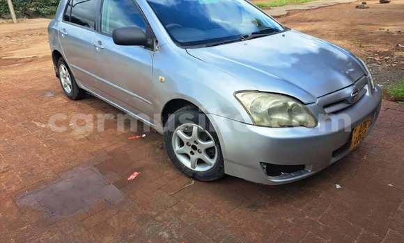 Acheter Occasion Voiture Toyota Runx Autre à Harare, Harare Acheter Occasion Voiture Toyota Runx Autre à Harare, Harare