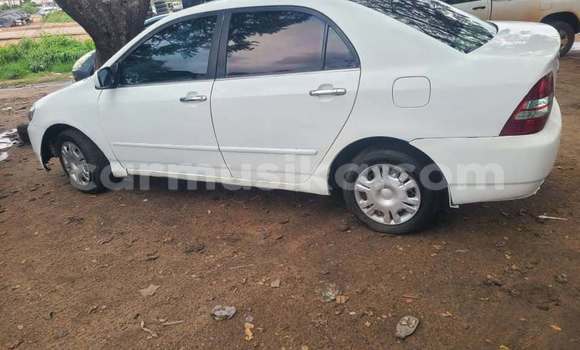 Acheter Occasion Voiture Toyota Corolla Blanc à Harare, Harare