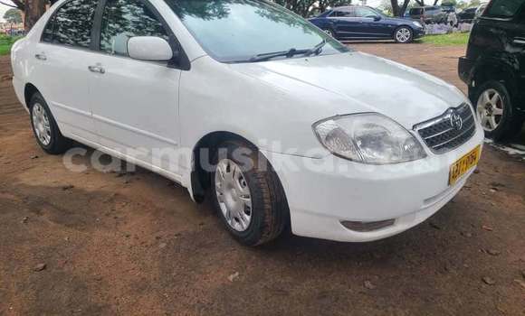 Tenga Tsaru Toyota Corolla Chena Mota in Harare in Harare Tenga Tsaru Toyota Corolla Chena Mota in Harare in Harare