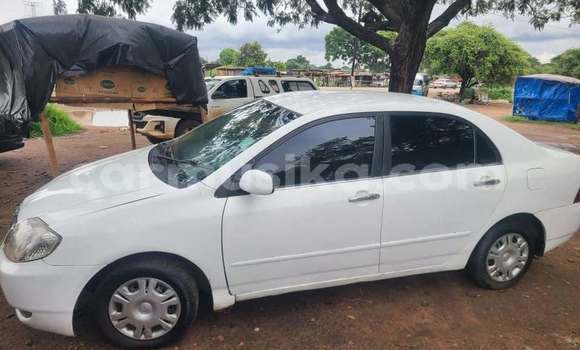 Tenga Tsaru Toyota Corolla Chena Mota in Harare in Harare Tenga Tsaru Toyota Corolla Chena Mota in Harare in Harare