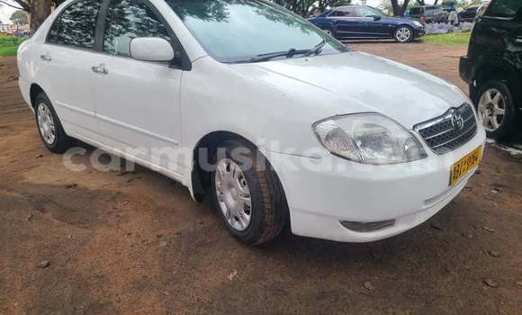 Tenga Tsaru Toyota Corolla Chena Mota in Harare in Harare Tenga Tsaru Toyota Corolla Chena Mota in Harare in Harare