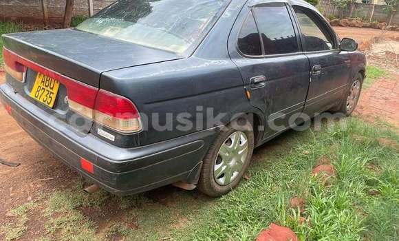 Acheter Occasion Voiture Nissan Sunny Autre à Harare, Harare Acheter Occasion Voiture Nissan Sunny Autre à Harare, Harare