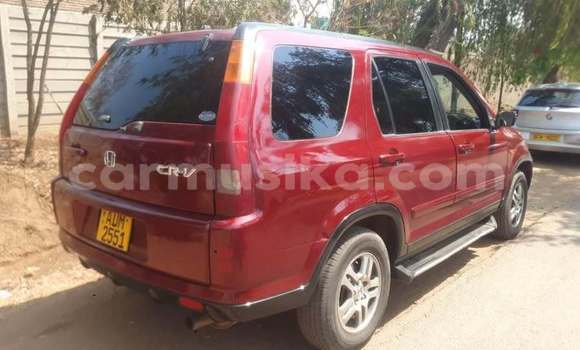 Acheter Occasion Voiture Honda CR–V Rouge à Harare, Harare Acheter Occasion Voiture Honda CR–V Rouge à Harare, Harare
