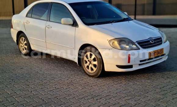 Buy Used Toyota Corolla White Car in Harare in Harare
