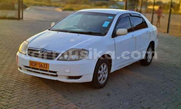 Acheter Occasion Voiture Toyota Corolla Blanc à Harare, Harare Acheter Occasion Voiture Toyota Corolla Blanc à Harare, Harare