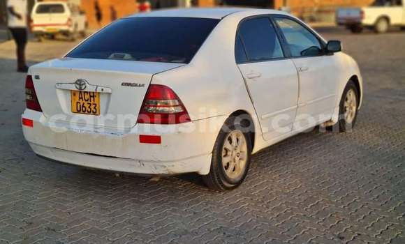 Acheter Occasion Voiture Toyota Corolla Blanc à Harare, Harare Acheter Occasion Voiture Toyota Corolla Blanc à Harare, Harare
