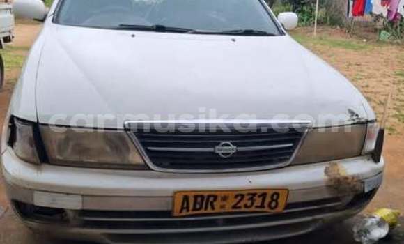 Buy Used Nissan Sunny Other Car in Harare in Harare