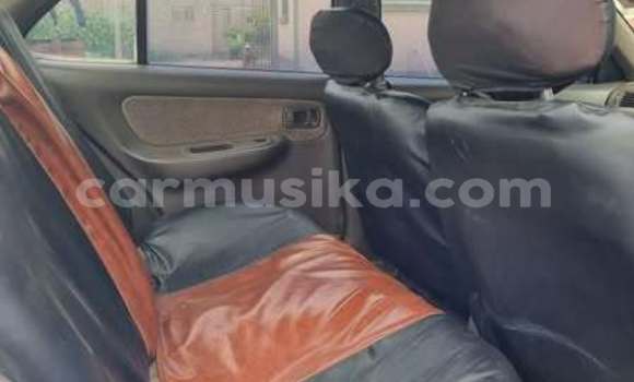 Buy Used Nissan Sunny Other Car in Harare in Harare Buy Used Nissan Sunny Other Car in Harare in Harare