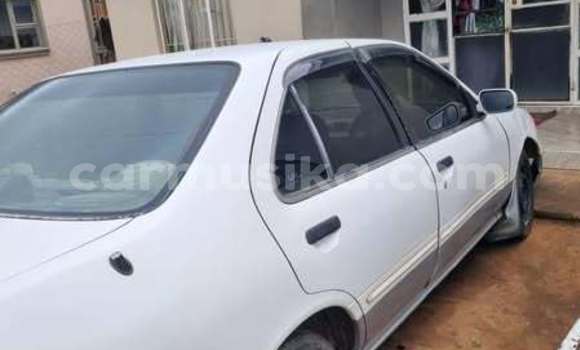 Buy Used Nissan Sunny Other Car in Harare in Harare Buy Used Nissan Sunny Other Car in Harare in Harare