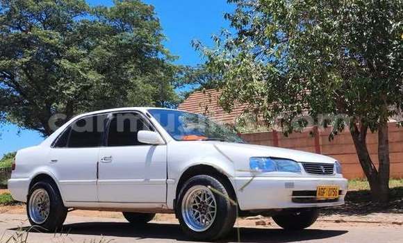 Acheter Occasion Voiture Toyota Corolla Autre à Harare, Harare Acheter Occasion Voiture Toyota Corolla Autre à Harare, Harare