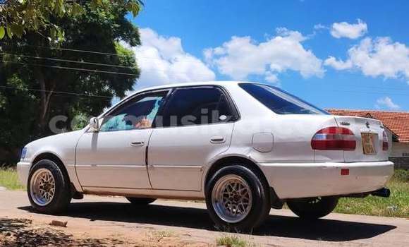 Acheter Occasion Voiture Toyota Corolla Autre à Harare, Harare Acheter Occasion Voiture Toyota Corolla Autre à Harare, Harare