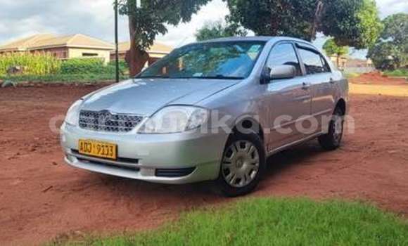 Nunua Ilio tumika Toyota Corolla Nyingine Gari ndani ya Harare nchini Harare