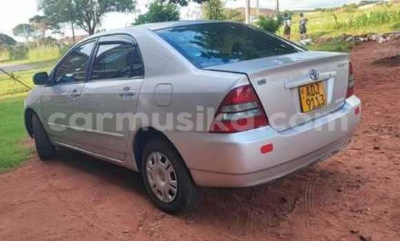 Acheter Occasion Voiture Toyota Corolla Autre à Harare, Harare Acheter Occasion Voiture Toyota Corolla Autre à Harare, Harare