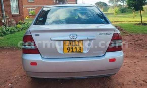 Acheter Occasion Voiture Toyota Corolla Autre à Harare, Harare Acheter Occasion Voiture Toyota Corolla Autre à Harare, Harare