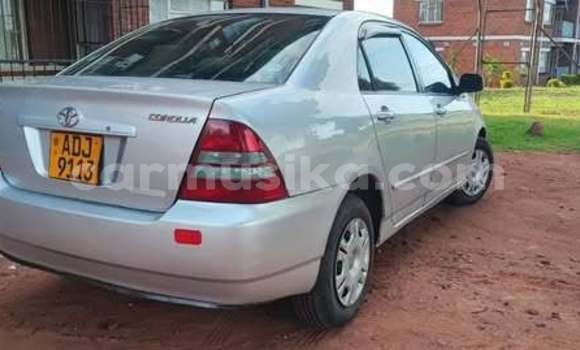 Acheter Occasion Voiture Toyota Corolla Autre à Harare, Harare Acheter Occasion Voiture Toyota Corolla Autre à Harare, Harare