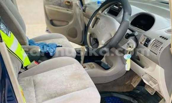 Buy Used Toyota Spacio Other Car in Harare in Harare Buy Used Toyota Spacio Other Car in Harare in Harare