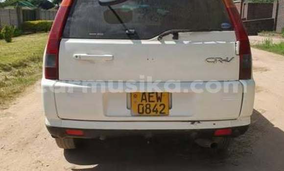 Tenga Tsaru Honda Civic Type R Zvimwe Mota in Harare in Harare Tenga Tsaru Honda Civic Type R Zvimwe Mota in Harare in Harare