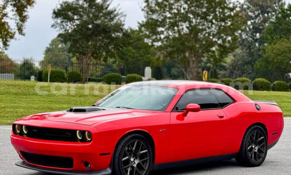 Tenga Tsaru Dodge Challenger Tsvuku Mota in Harare in Harare Tenga Tsaru Dodge Challenger Tsvuku Mota in Harare in Harare