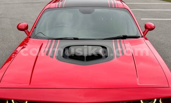 Tenga Tsaru Dodge Challenger Tsvuku Mota in Harare in Harare Tenga Tsaru Dodge Challenger Tsvuku Mota in Harare in Harare