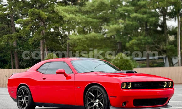 Tenga Tsaru Dodge Challenger Tsvuku Mota in Harare in Harare Tenga Tsaru Dodge Challenger Tsvuku Mota in Harare in Harare
