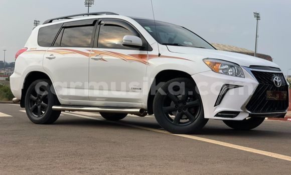 Buy Used Toyota RAV4 White Car in Harare in Harare Buy Used Toyota RAV4 White Car in Harare in Harare