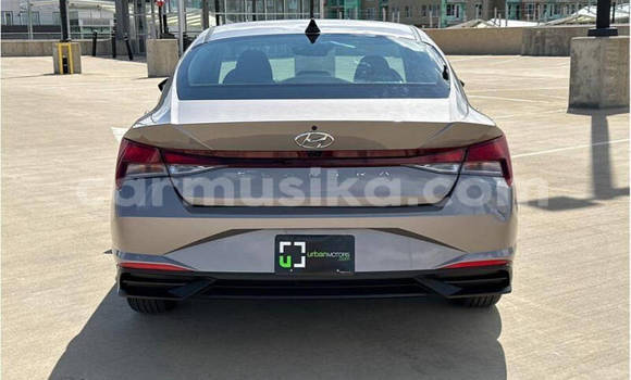 Tenga Tsaru Hyundai Elantra Zvimwe Mota in Harare in Harare Tenga Tsaru Hyundai Elantra Zvimwe Mota in Harare in Harare