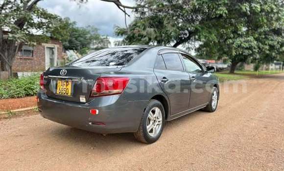 Buy Used Toyota Allion Other Car in Harare in Harare
