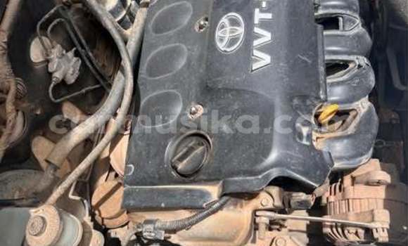 Nunua Ilio tumika Toyota Probox Nyingine Gari ndani ya Harare nchini Harare Nunua Ilio tumika Toyota Probox Nyingine Gari ndani ya Harare nchini Harare