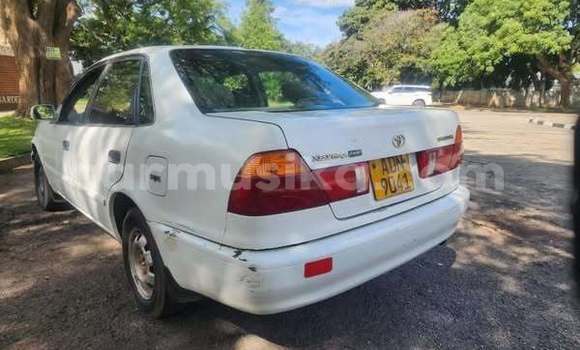 Nunua Ilio tumika Toyota Prius Nyingine Gari ndani ya Harare nchini Harare Nunua Ilio tumika Toyota Prius Nyingine Gari ndani ya Harare nchini Harare