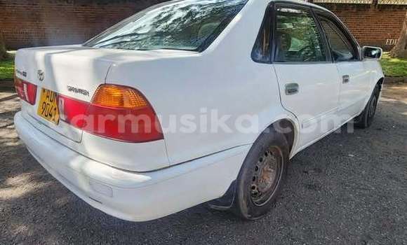 Nunua Ilio tumika Toyota Prius Nyingine Gari ndani ya Harare nchini Harare Nunua Ilio tumika Toyota Prius Nyingine Gari ndani ya Harare nchini Harare