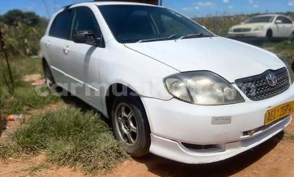 Buy Used Toyota Runx Other Car in Harare in Harare Buy Used Toyota Runx Other Car in Harare in Harare