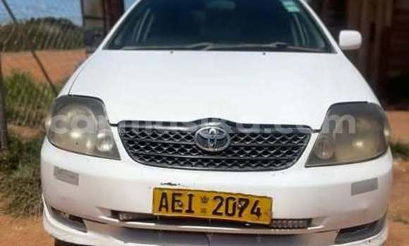 Buy Used Toyota Runx Other Car in Harare in Harare Buy Used Toyota Runx Other Car in Harare in Harare
