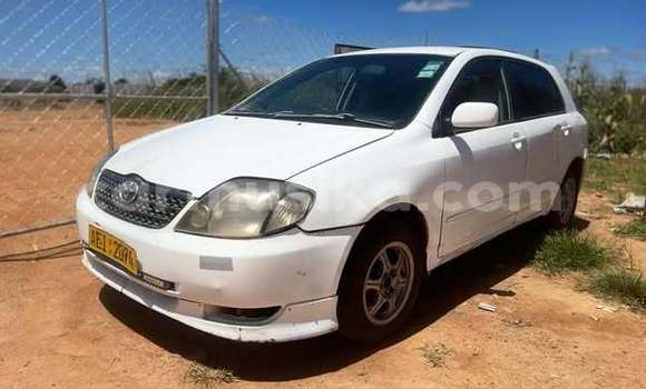 Buy Used Toyota Runx Other Car in Harare in Harare Buy Used Toyota Runx Other Car in Harare in Harare